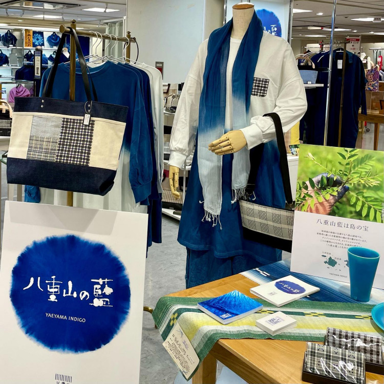 八重山の藍 展示会